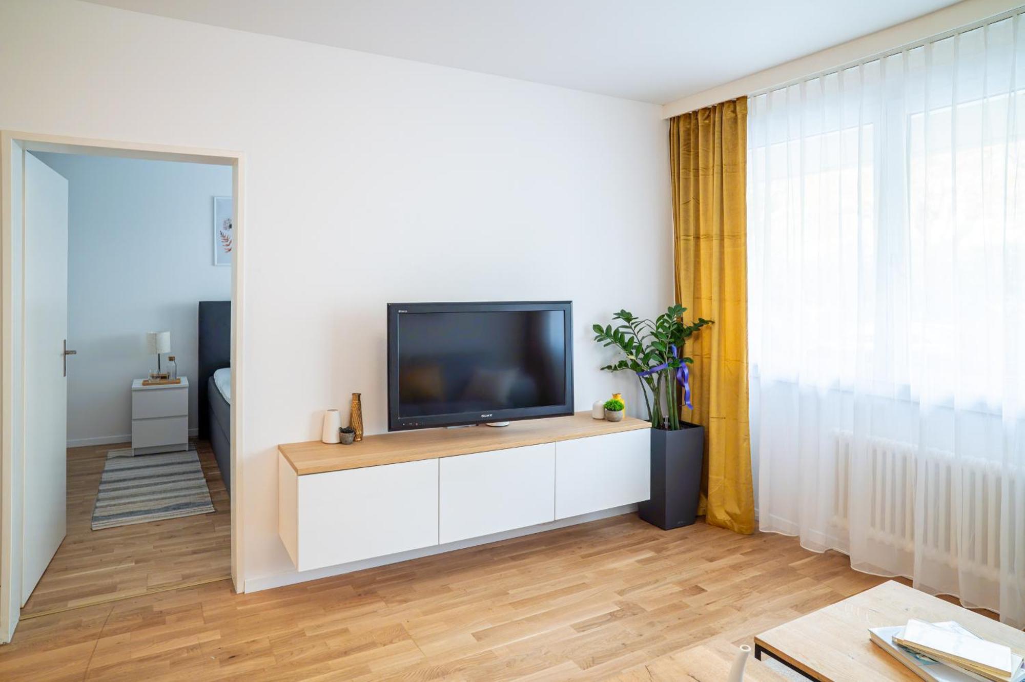 Expo-Basel-Ch Apt, Amazon Prime Video, Wifi, Coffee & Tee, Popcorn, Kitchen Dış mekan fotoğraf